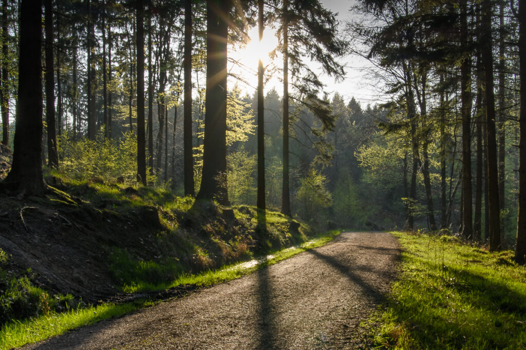 Deister Wanderung