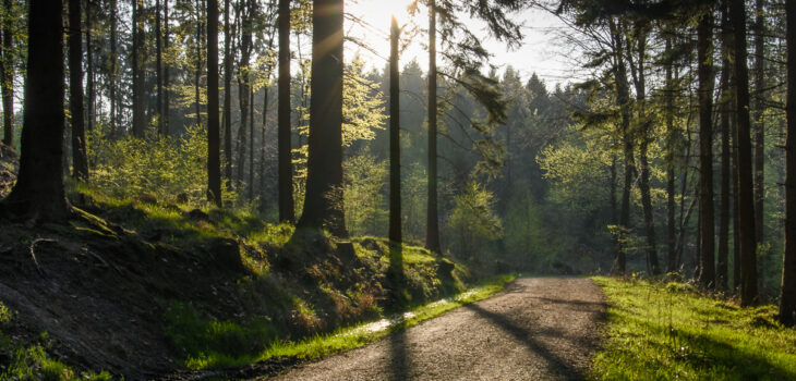 Deisterwanderung