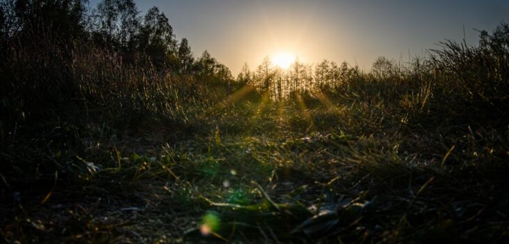 Sonnenuntergang an den Brögberner Teichen