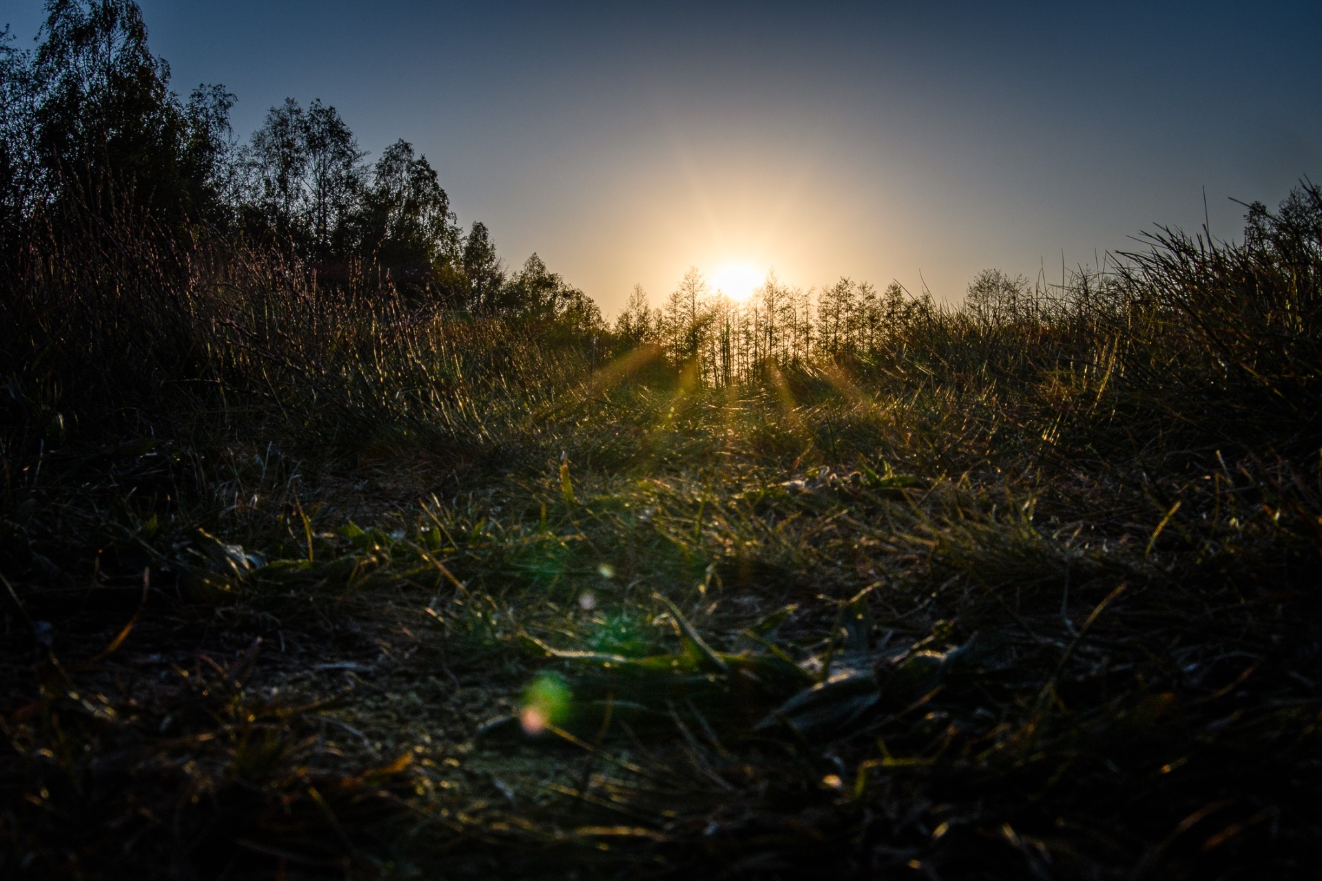 Fotowalk Brögberner Teiche Matthias Rammes