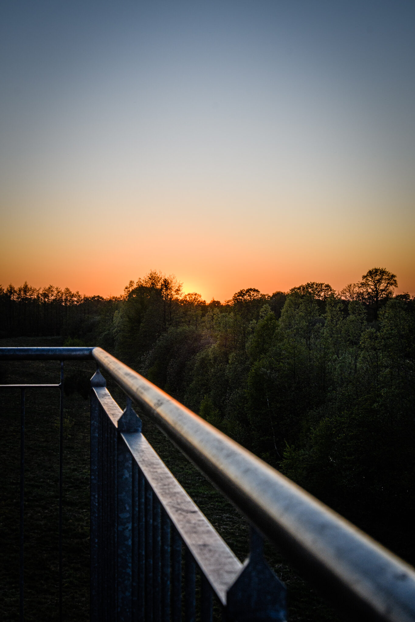 Fotowalk Brögberner Teiche Matthias Rammes